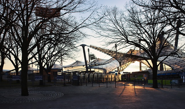 到伤病等因 到伤病等因