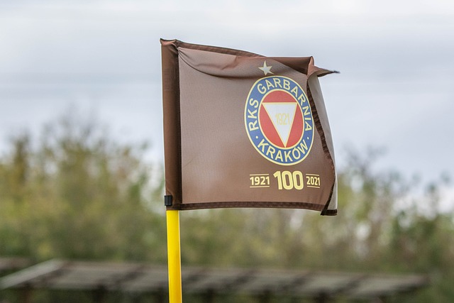 这次情绪失 这次情绪失