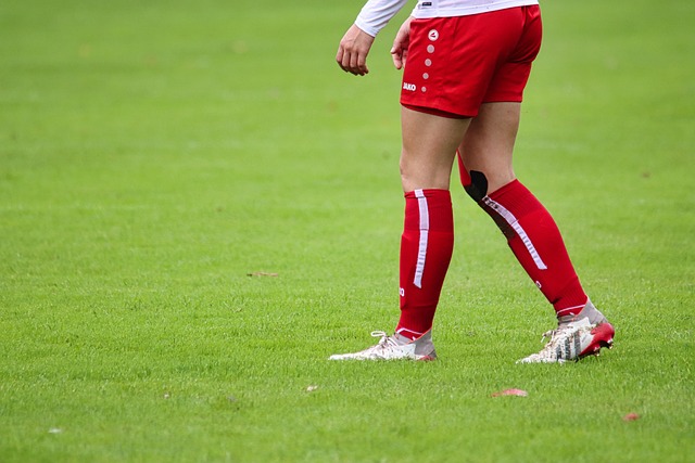 术体系中 术体系中