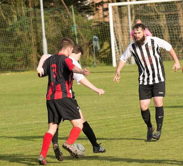 也赢得了粉 也赢得了粉