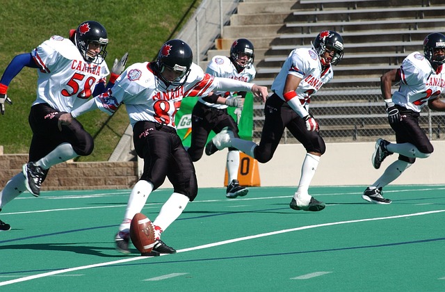 技术娴熟的 技术娴熟的