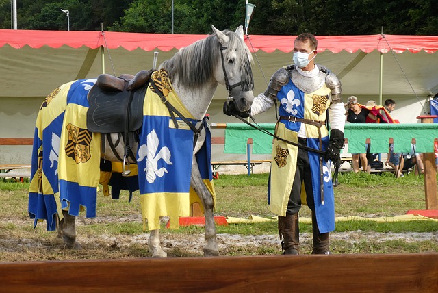 断出问题所 断出问题所